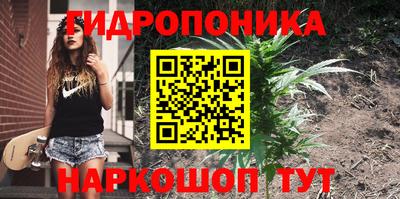 МДПВ Шебекино