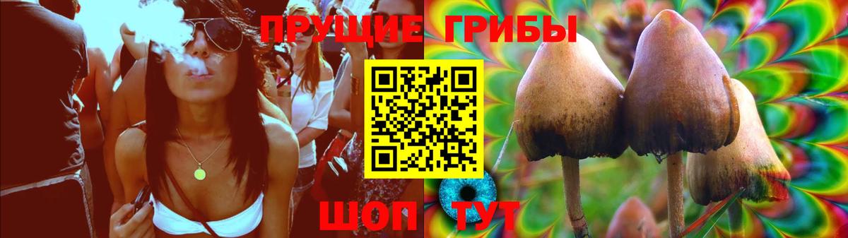 Белово  Псилоцибиновые грибы Cubensis  Вход с VPN 